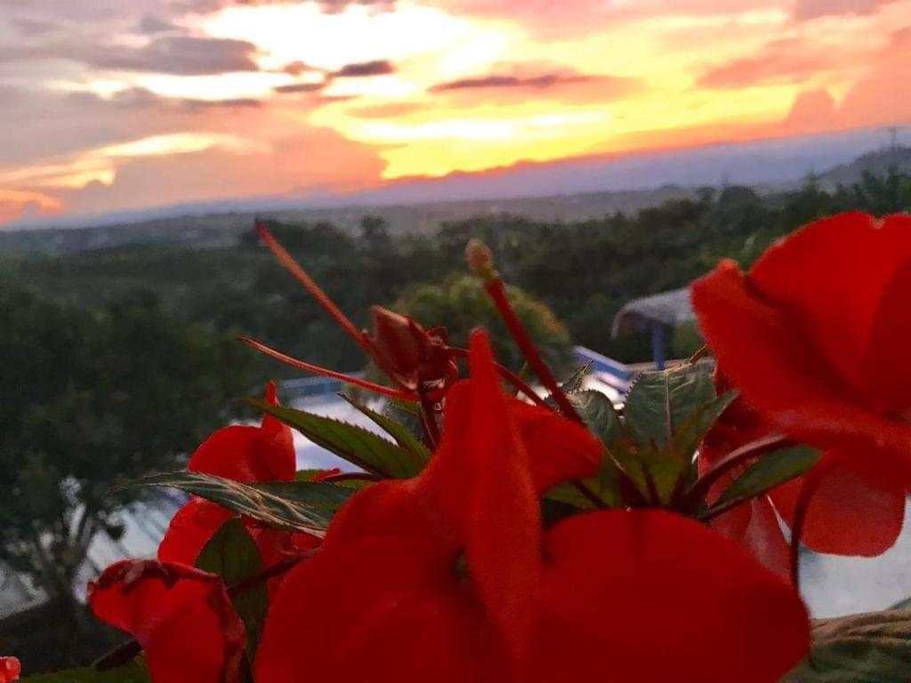 Hotel Casa Natura Перейра Экстерьер фото
